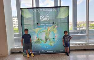 Cirque du Soleil: OVO