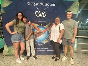 Cirque du Soleil: OVO