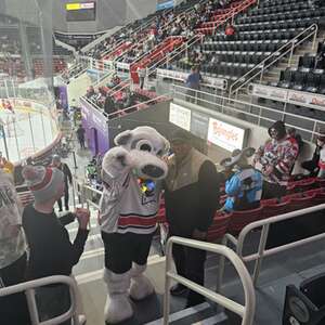 Charlotte Checkers - AHL vs Springfield Thunderbirds