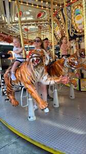 Detroit Tigers - MLB vs Minnesota Twins