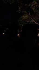 Magic of the Jack O Lanterns